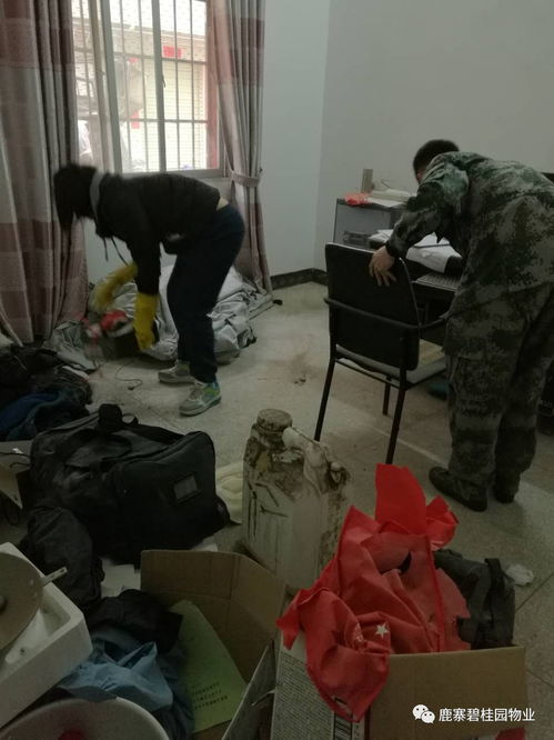 家政清洁服务 为现代生活带来整洁与安心